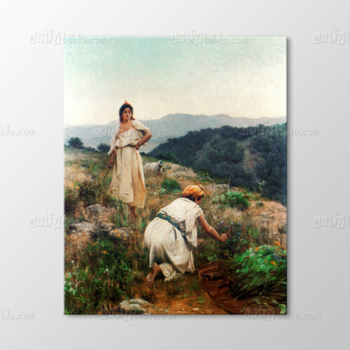 Yabani Ot Toplayanlar 1883 Tablo