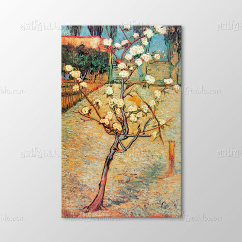 Pear Tree İn Blossom Tablo