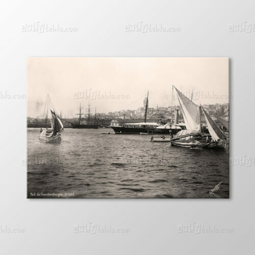 Tophane, 1895 Tablo