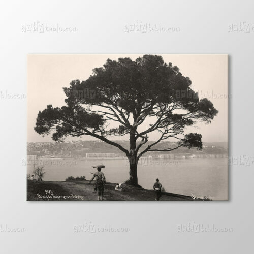 F.Paşa Köprüsünden Çırağan Sarayı, 1890 Tablo