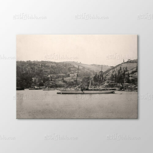 Bebek, 1901 Tablo