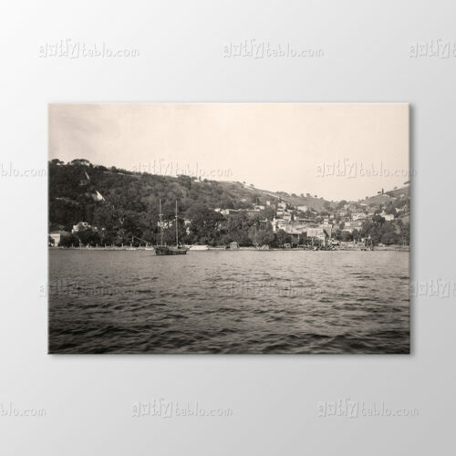 Bebek, 1895 Tablo
