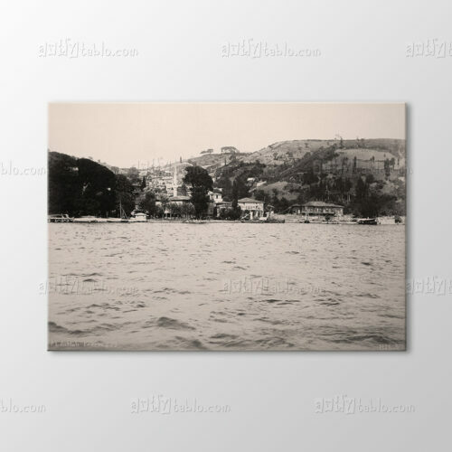 Bebek, 1890 Tablo