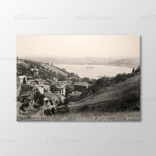 Bebek, 1890 Tablo