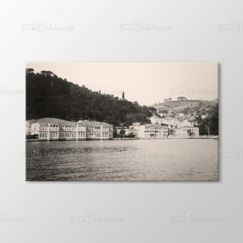 Ali Paşa Yalısı, 1880 Tablo
