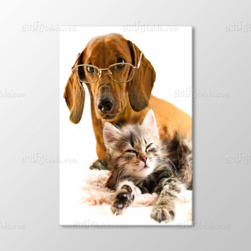 Köpek ve Kedi Tablo