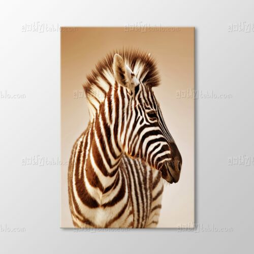 Zebra Tablo