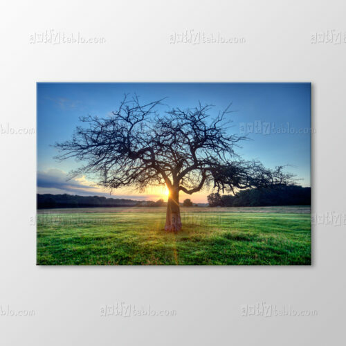 Gün Batımı ve Ağaç Tablo