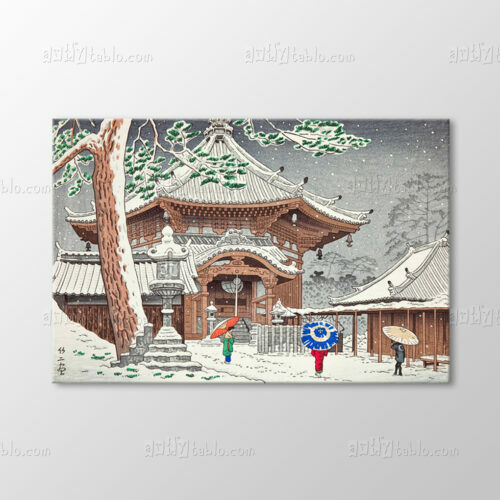 Snow in Nan Endo Temple Tablo