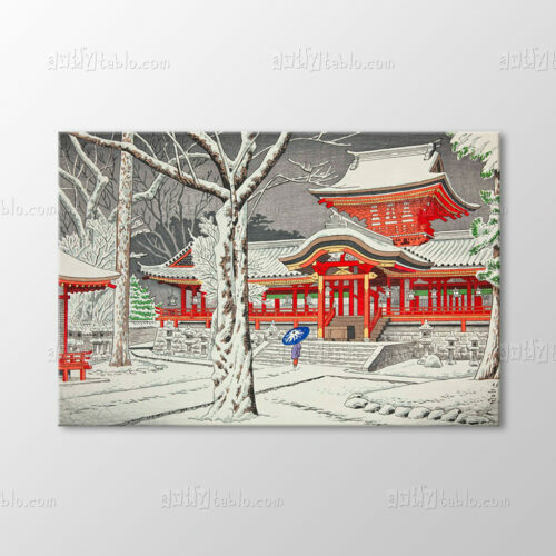Snow in Iwashimizu Tablo