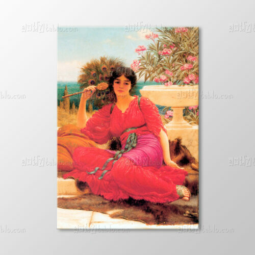 Flabellifera Oil Sketch Tablo