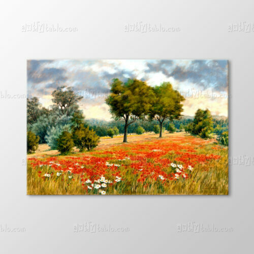 Gelincik Tarlası Tablo