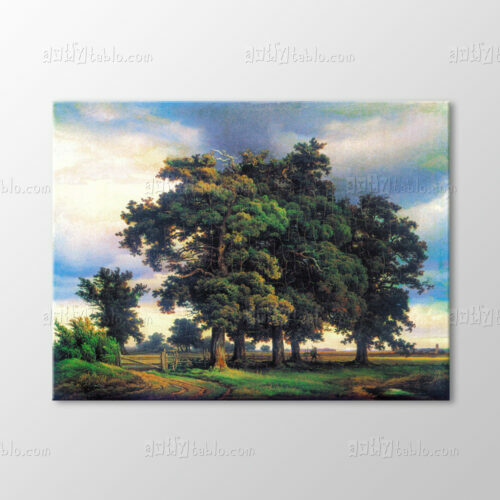 Meşe Ağacı 1833 Tablo