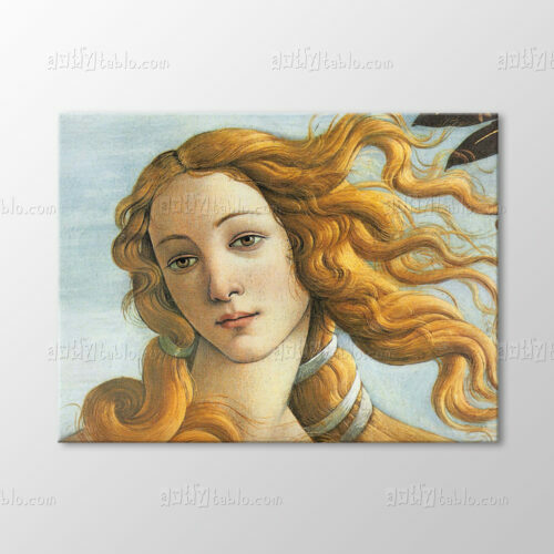 Venus Tablo