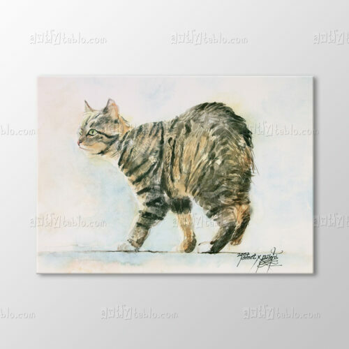 Suluboya, Kedi Tablo