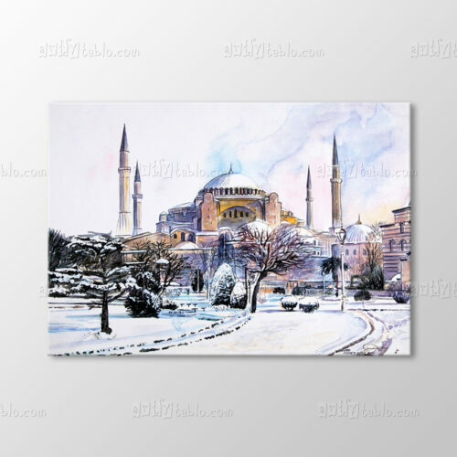 Suluboya, Ayasofya Camii Tablo