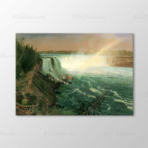 Niagara Şelalesi Tablo