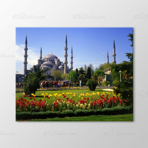 Sultanahmet Camii Tablo
