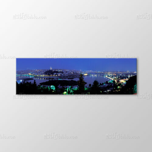 Haliç Gece Tablo