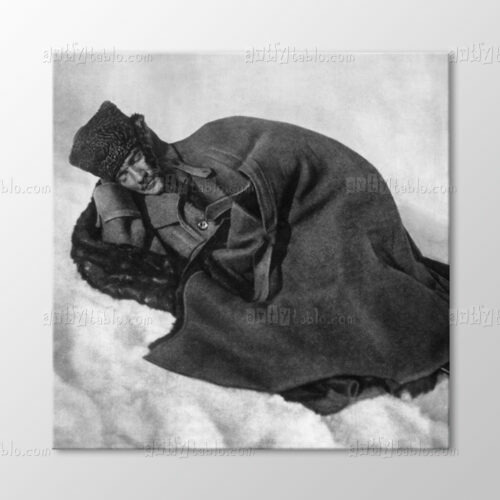 Karlar Üstünde Atatürk Tablo