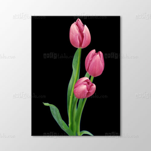 Pembe Laleler Tablo