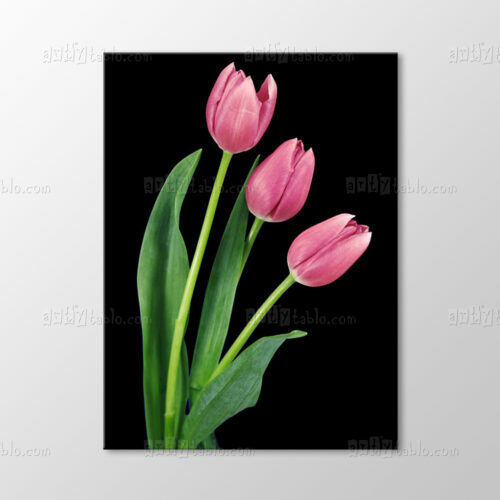 Pembe Laleler Tablo