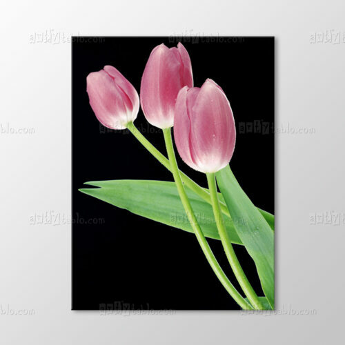 Pembe Laleler Tablo