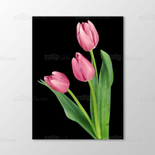 Pembe Laleler Tablo