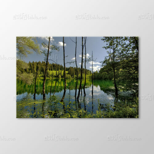 Artvin Tablo