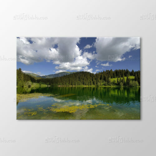 Artvin Tablo