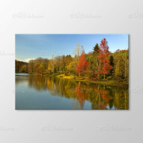 Atatürk Arboretumu Tablo