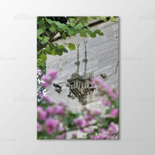 Valide Sultan Camii Kuş Evleri Tablo