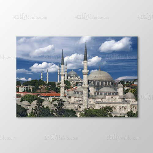 Şehzadebaşı Cami ve Süleymaniye Tablo