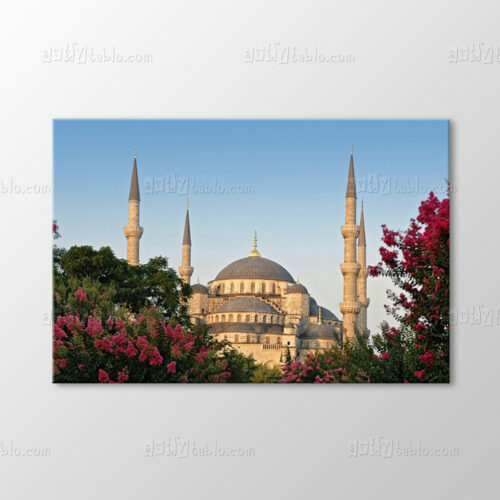 Sultanahmet Camii Tablo