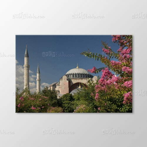 Ayasofya Tablo
