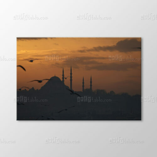 Süleymaniye Camii Tablo