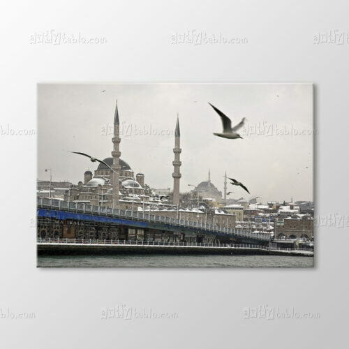 Galata Köprüsü Tablo