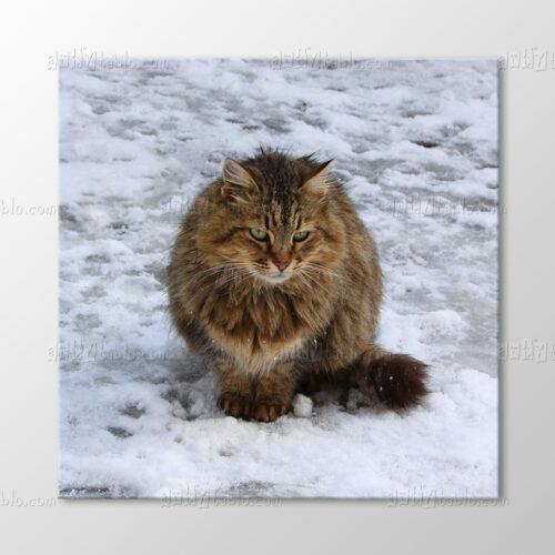 Yalnız Kedi Tablo
