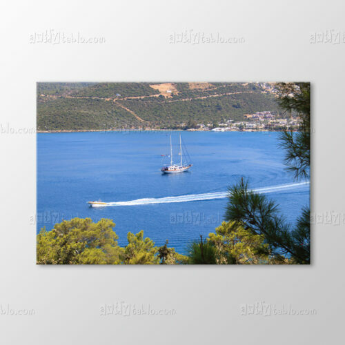 Torba Koyu, Bodrum Tablo