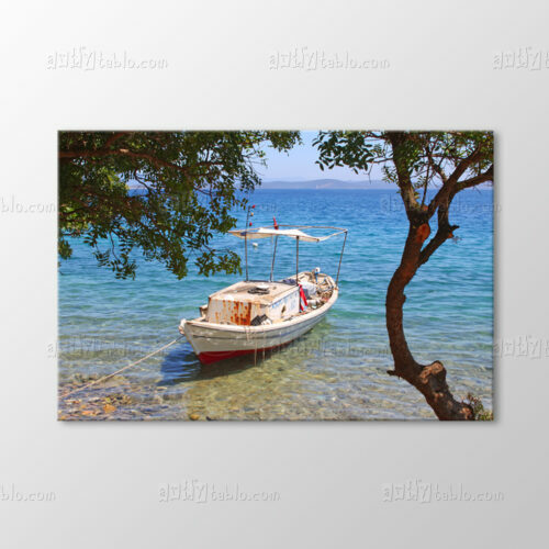 Balıkçı Teknesi, Bodrum Tablo