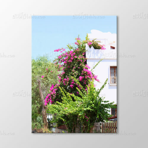 Bodrum Evleri Tablo
