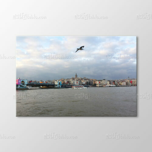 Galata Kulesi Tablo