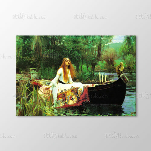 Shalott Leydisi, 1888 Tablo