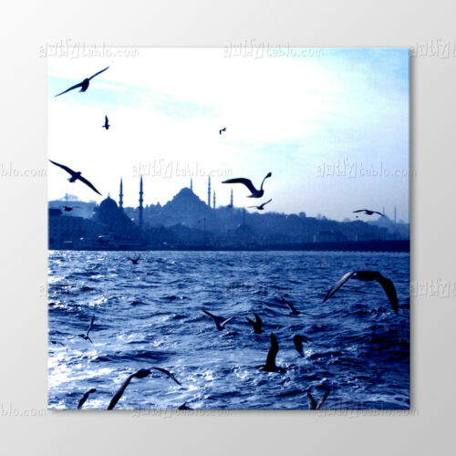 Martılar ve İstanbul Tablo