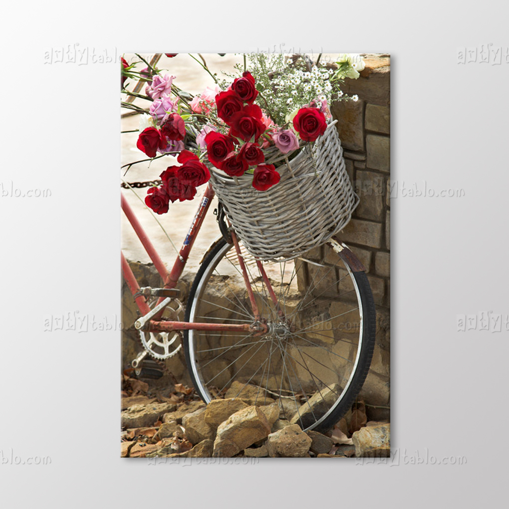 Güller ve Bisiklet Tablo